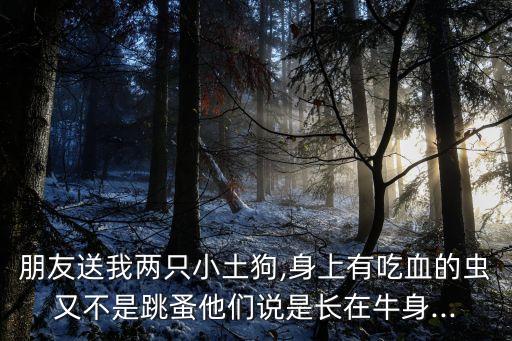 朋友送我兩只小土狗,身上有吃血的蟲又不是跳蚤他們說是長在牛身...