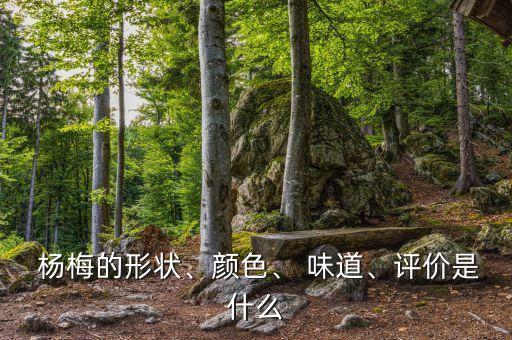 打了農(nóng)藥的楊梅什么味道,楊梅好吃嗎什么味道