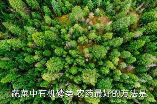 水果蔬菜打什么農藥最好,酵素泡水果蔬菜祛除農藥