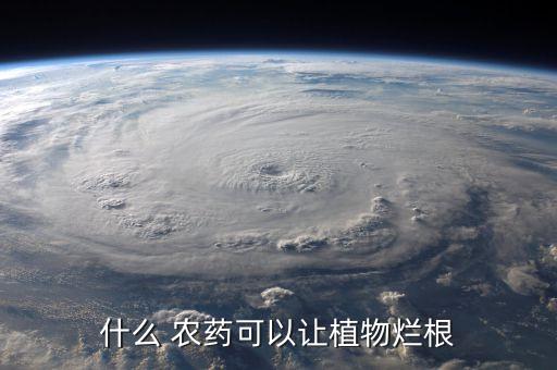 種菜用什么農藥治爛根,什么農藥可以讓樹爛根