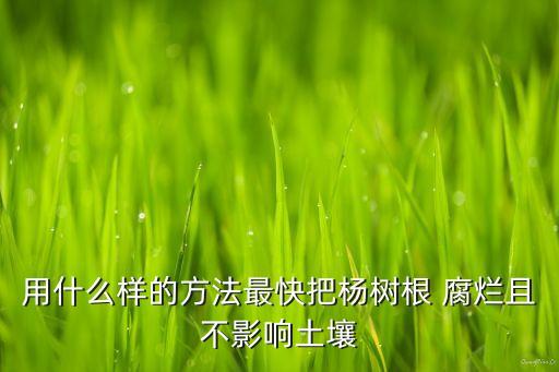 什么農藥能讓根腐爛,葛騰用什么農藥根除去