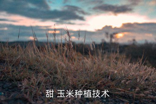 甜玉米打什么農藥有產量