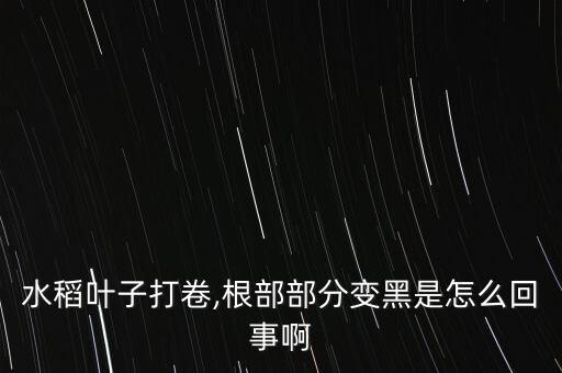 稻蝽蟓用什么農藥防治,盲蝽蟓用什么農藥最好
