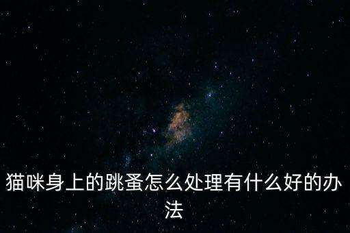 貓咪身上的跳蚤怎么處理有什么好的辦法