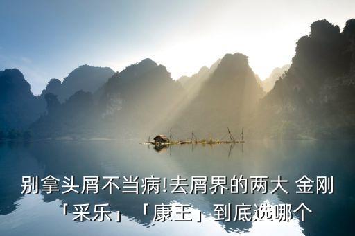 別拿頭屑不當病!去屑界的兩大 金剛「采樂」「康王」到底選哪個