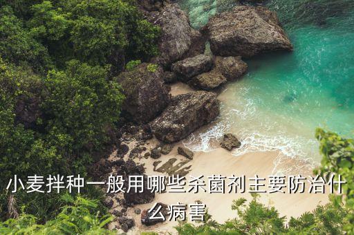 小麥拌種一般用哪些殺菌劑主要防治什么病害