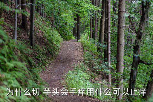 為什么切 芋頭會手癢用什么可以止癢