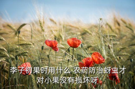 李子初果時用什么 農藥防治蚜蟲才對小果沒有損壞呀