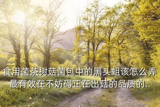 黑桃蛆用什么農藥,韭蛆用什么農藥最佳