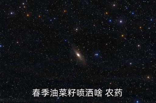 春季油菜籽噴灑啥 農藥