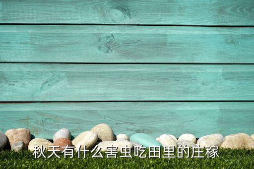 螞蚱吃秧苗用什么農藥,螞蚱用什么農藥最好