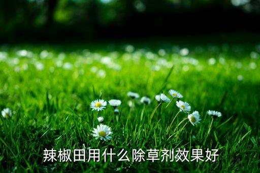 辣椒田用什么除草劑效果好