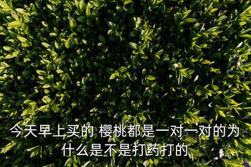 櫻桃雙胞胎用什么農藥,櫻桃現(xiàn)在打什么農藥