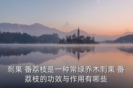 刺果 番荔枝是一種常綠喬木刺果 番荔枝的功效與作用有哪些