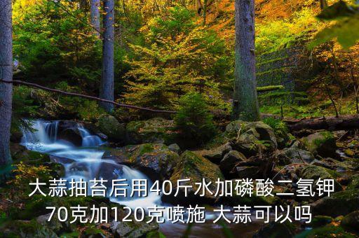 大蒜農藥和什么能配合使用,大蒜打農藥嗎