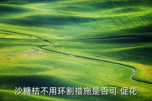 沙糖桔不用環(huán)割措施是否可 促花