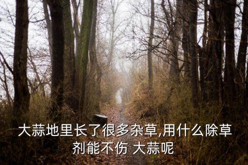 大蒜地里長了很多雜草,用什么除草劑能不傷 大蒜呢