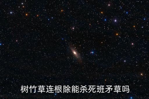 樹竹草什么農藥好用啊,打樹地的草用什么農藥