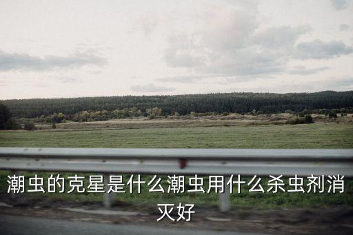 什么農藥可以殺死很多蟲,魚鉤蟲用什么農藥殺死