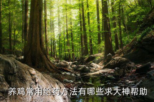 養雞用什么農藥,養雞水里面加什么最好