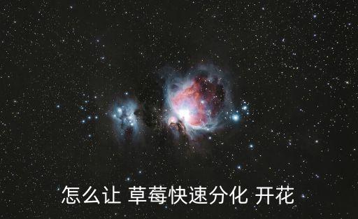 什么農藥能提早草莓開花,草莓病蟲害用什么農藥