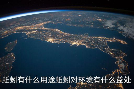 蚯蚓有什么用途蚯蚓對環境有什么益處
