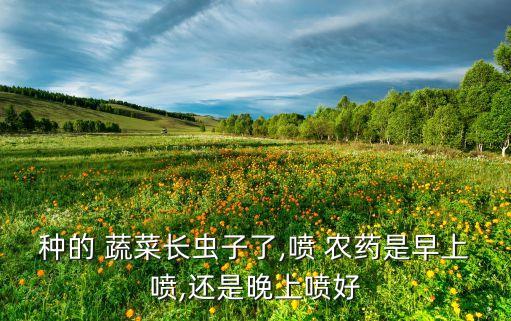 蔬菜什么時期打農(nóng)藥最好,洗蔬菜用什么洗去農(nóng)藥
