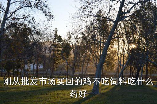 雞吃什么農藥好,吃什么j雞變大大呢