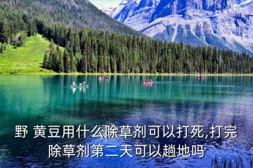 黃豆剛結痂打什么農藥