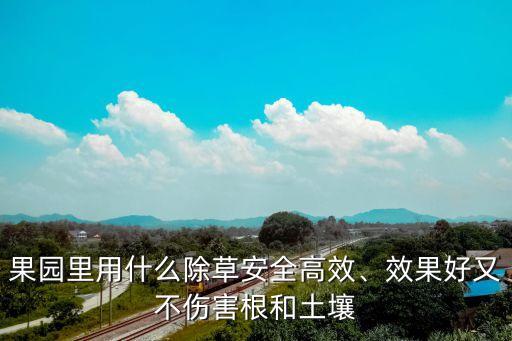 香頭草用什么農(nóng)藥好,什么農(nóng)藥能把草徹底殺死