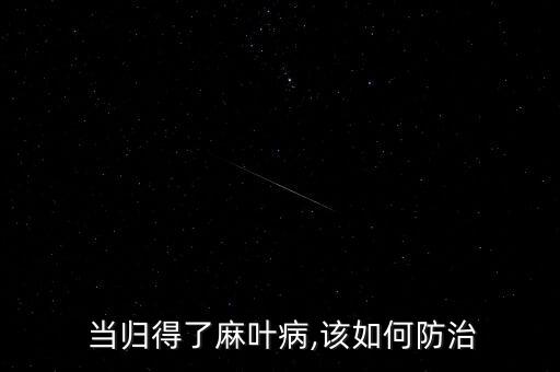 當歸用什么農藥長的快,當歸有什么作用?