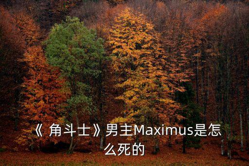 《 角斗士》男主Maximus是怎么死的