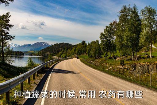 種植蔬菜的時候,常用 農藥有哪些