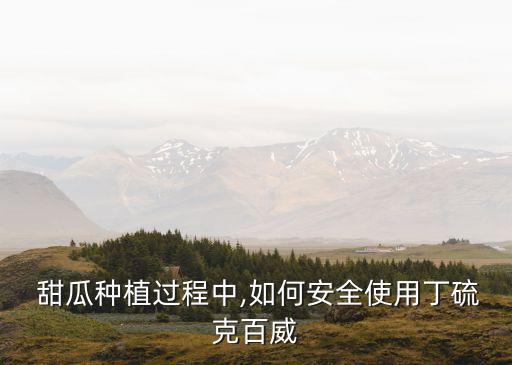 甜瓜種植過程中,如何安全使用丁硫克百威