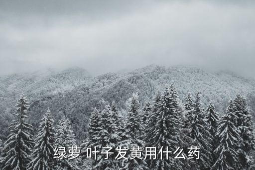 綠蘿 葉子發(fā)黃用什么藥