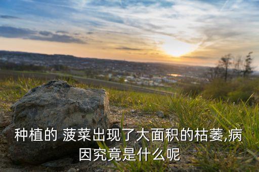 菠菜為什么需要多用農(nóng)藥