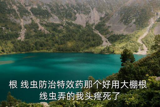 什么農藥治根線蟲,治根結線蟲有哪幾種農藥