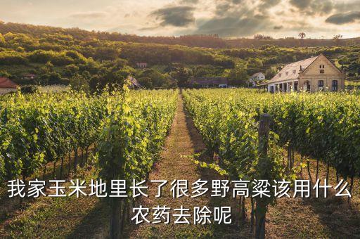 冬季除禾苗什么農藥,冬季清園用什么農藥最好