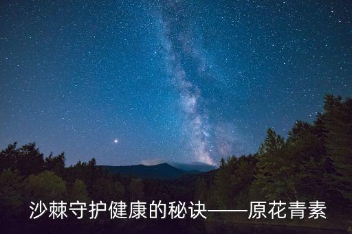 沙棘守護健康的秘訣——原花青素