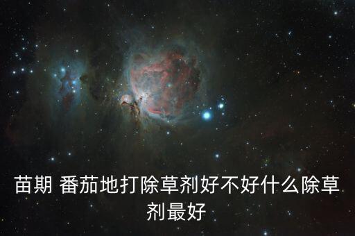 苗期 番茄地打除草劑好不好什么除草劑最好