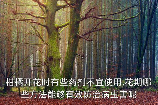 柑橘開花時有些藥劑不宜使用,花期哪些方法能夠有效防治病蟲害呢