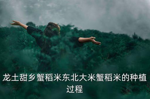 龍土甜鄉蟹稻米東北大米蟹稻米的種植過程