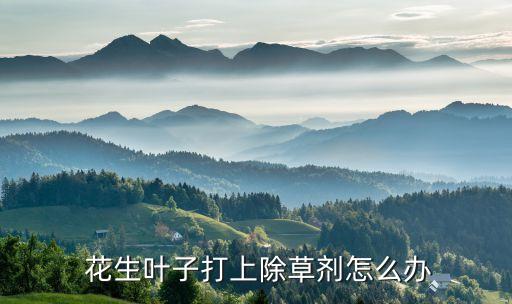 花生燒苗噴灑什么農(nóng)藥