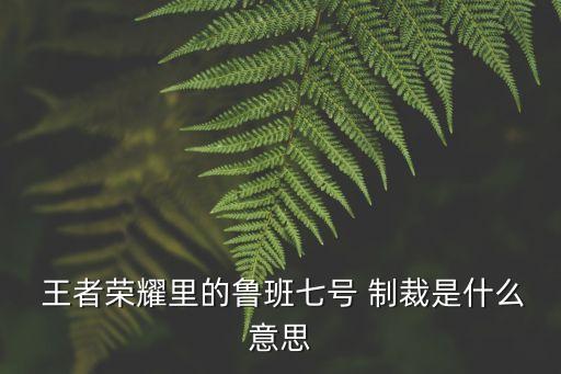 王者榮耀里的魯班七號 制裁是什么意思