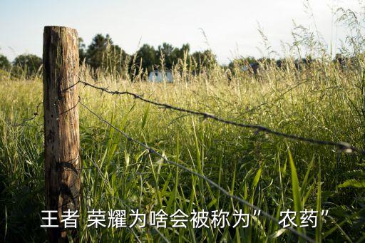 王者 榮耀為啥會被稱為” 農藥”