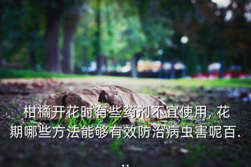 柑橘開花時(shí)有些藥劑不宜使用, 花期哪些方法能夠有效防治病蟲害呢百...