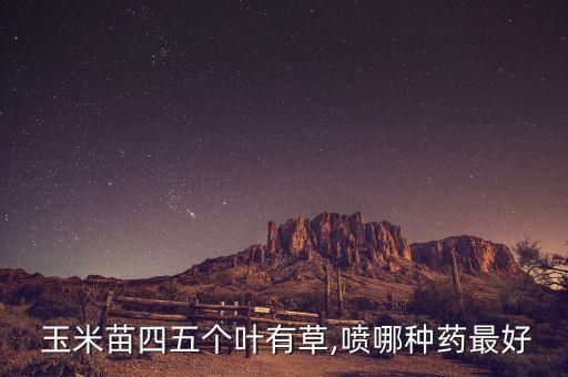 玉米苗期噴什么農(nóng)藥,玉米治蟲用什么農(nóng)藥好