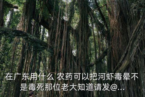 用什么農藥毒蝦效果好,什么農藥毒老鼠效果好