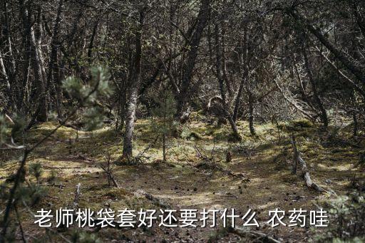 桃子樹掛果噴什么農(nóng)藥,桃子掛果后打什么藥