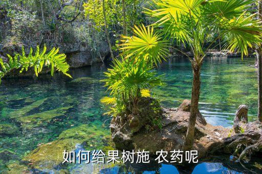 李果什么時候噴農藥,白菜噴農藥什么時候可以吃